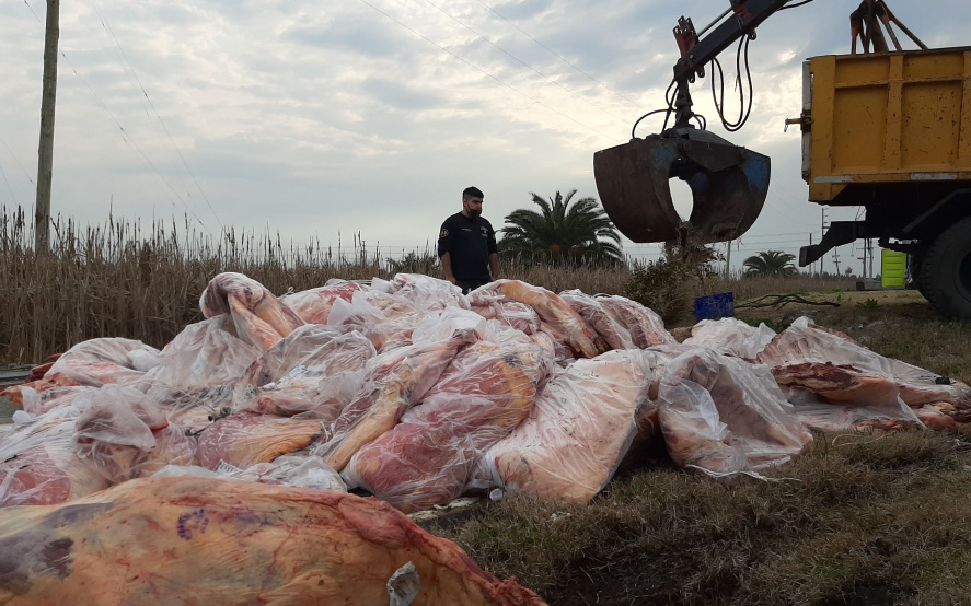 La Plata  Volcó un camión con carne camino a un frigorífico